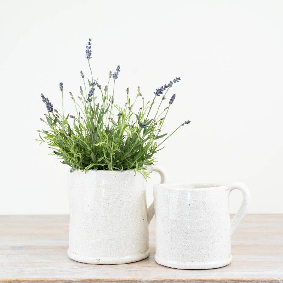 Jolee Jug, 19cm