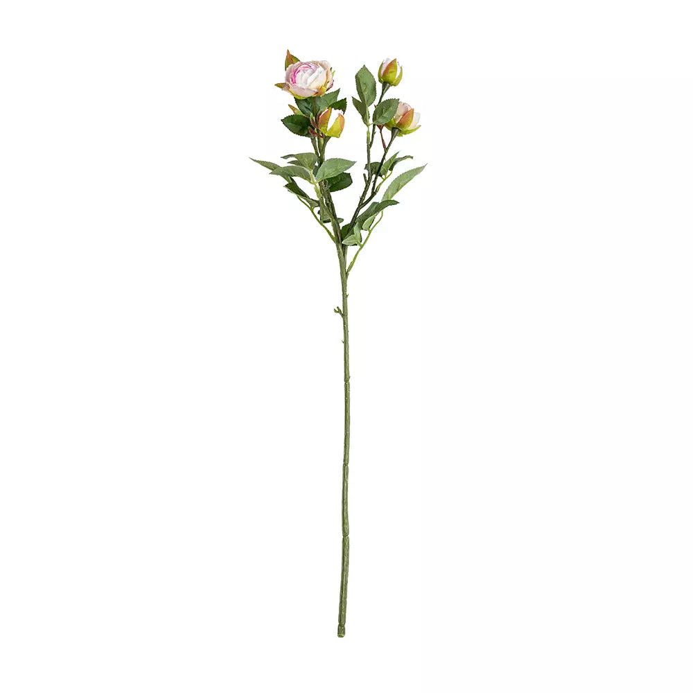 Pale pink Rosebud spray