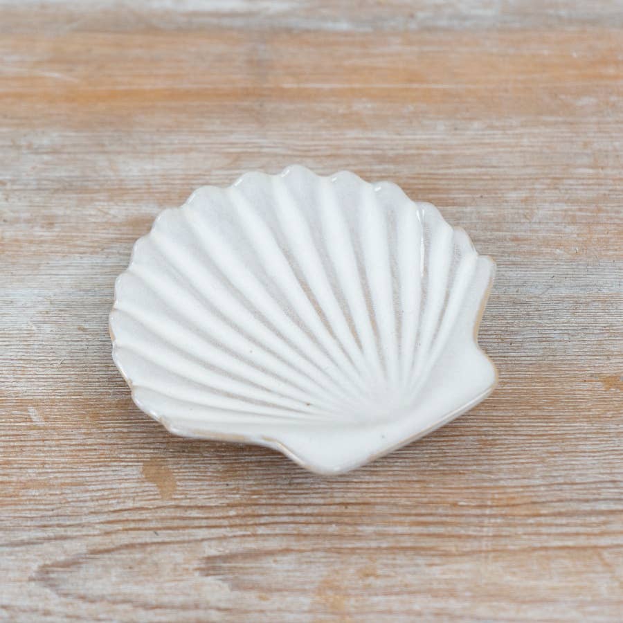 Elegant Natural White Shell Dish, 11cm