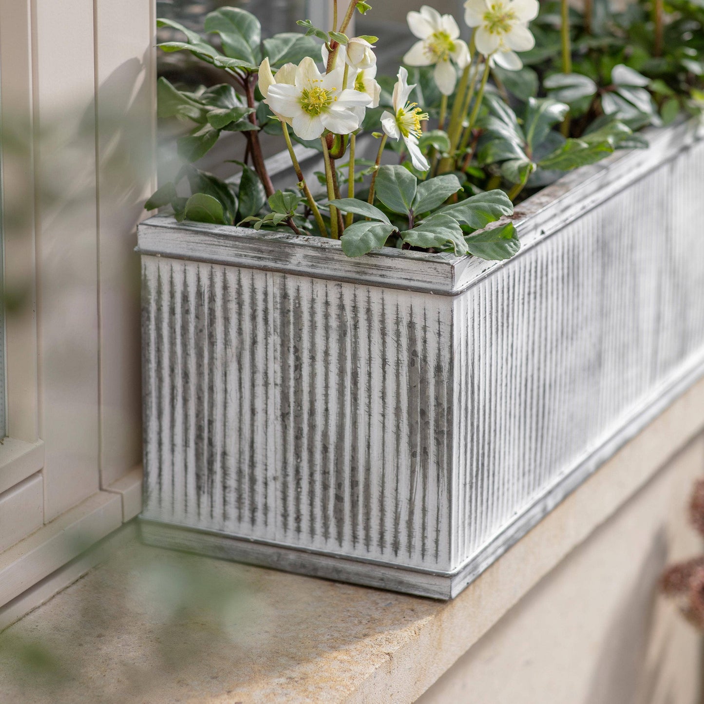 Hawthorn Small Ribbed Trough Planter