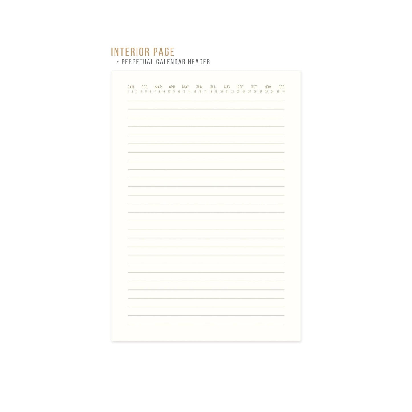 Suedette Journal - Pink - Radiant Rainbow