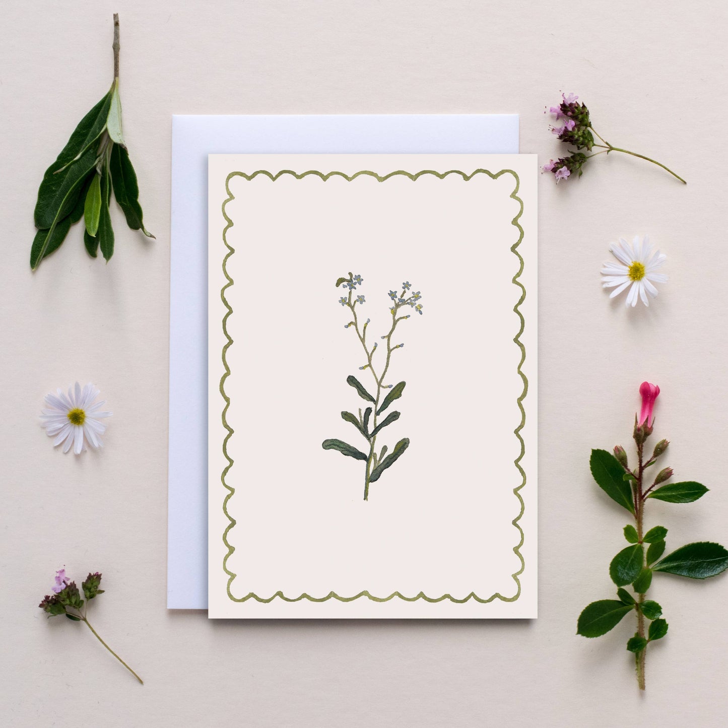 Luxury Wildflower Notecards - Pack of 6  - 6 designs