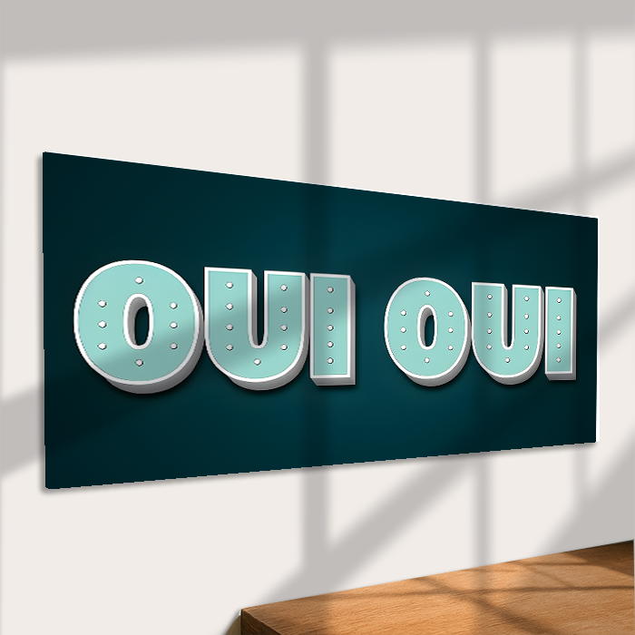 Oui Oui French Quote Metal Sign