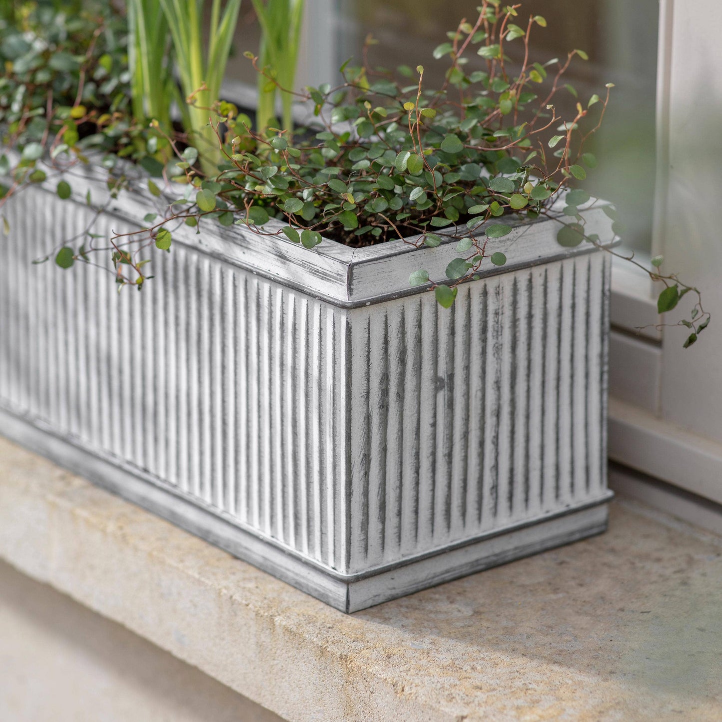 Hawthorn Small Ribbed Trough Planter
