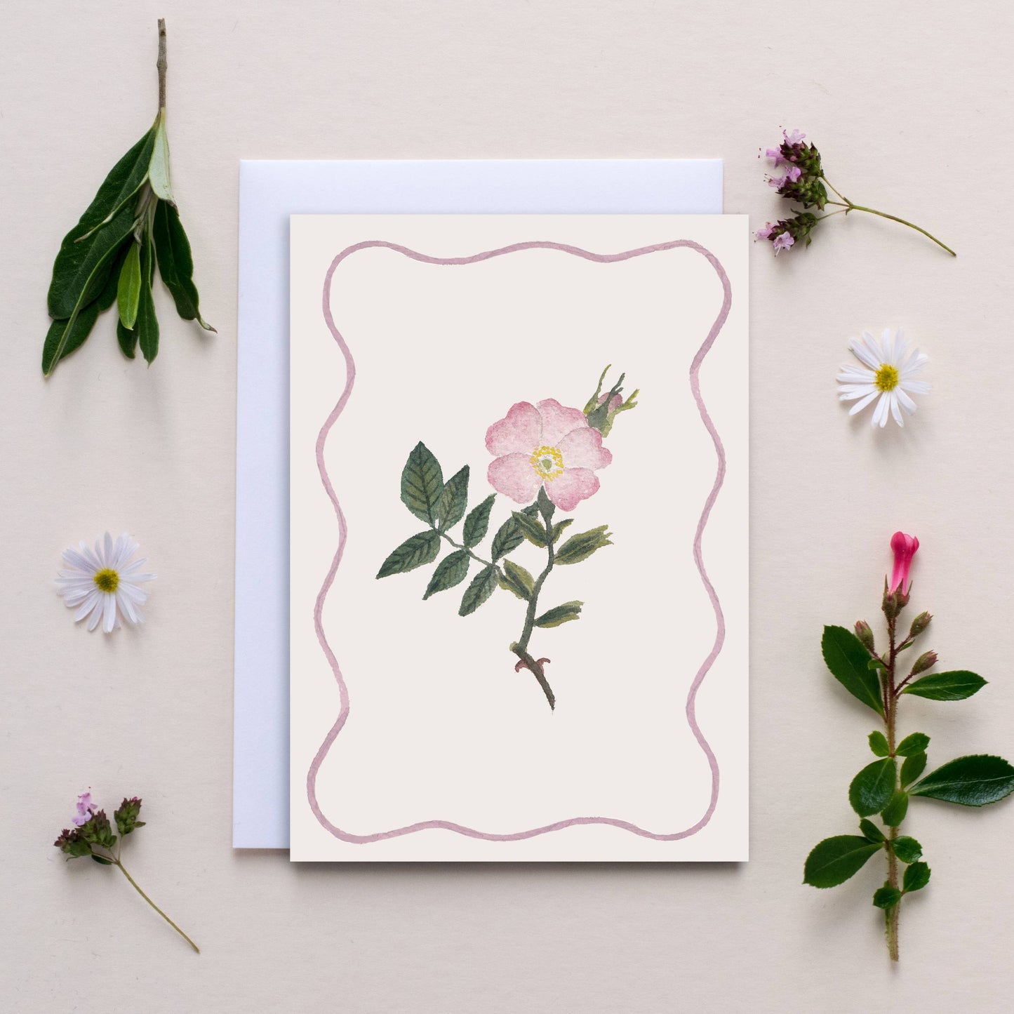 Luxury Wildflower Notecards - Pack of 6  - 6 designs