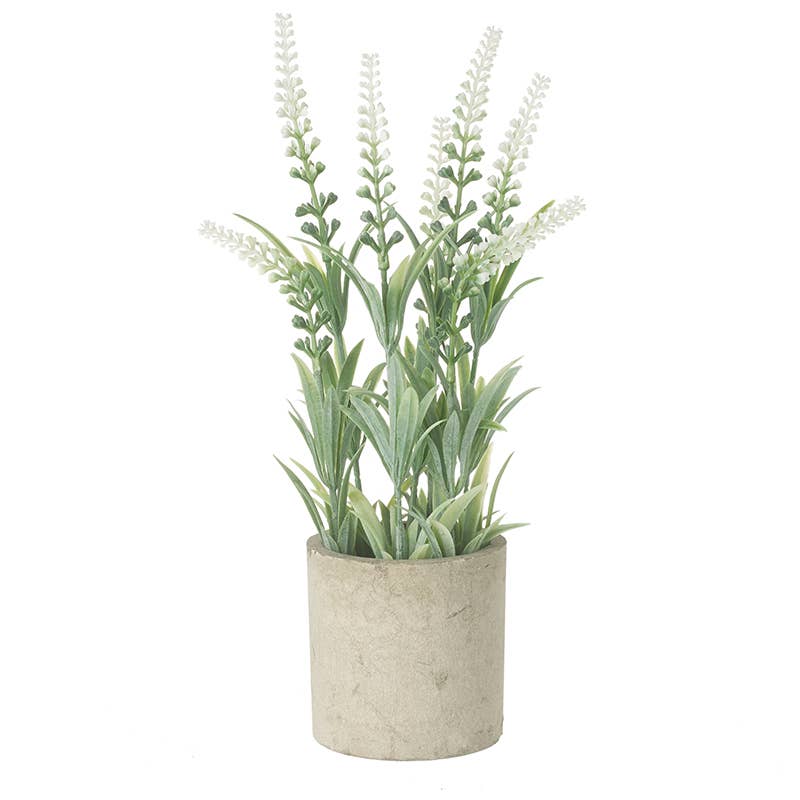 TALL FLOWER PLANT IN POT