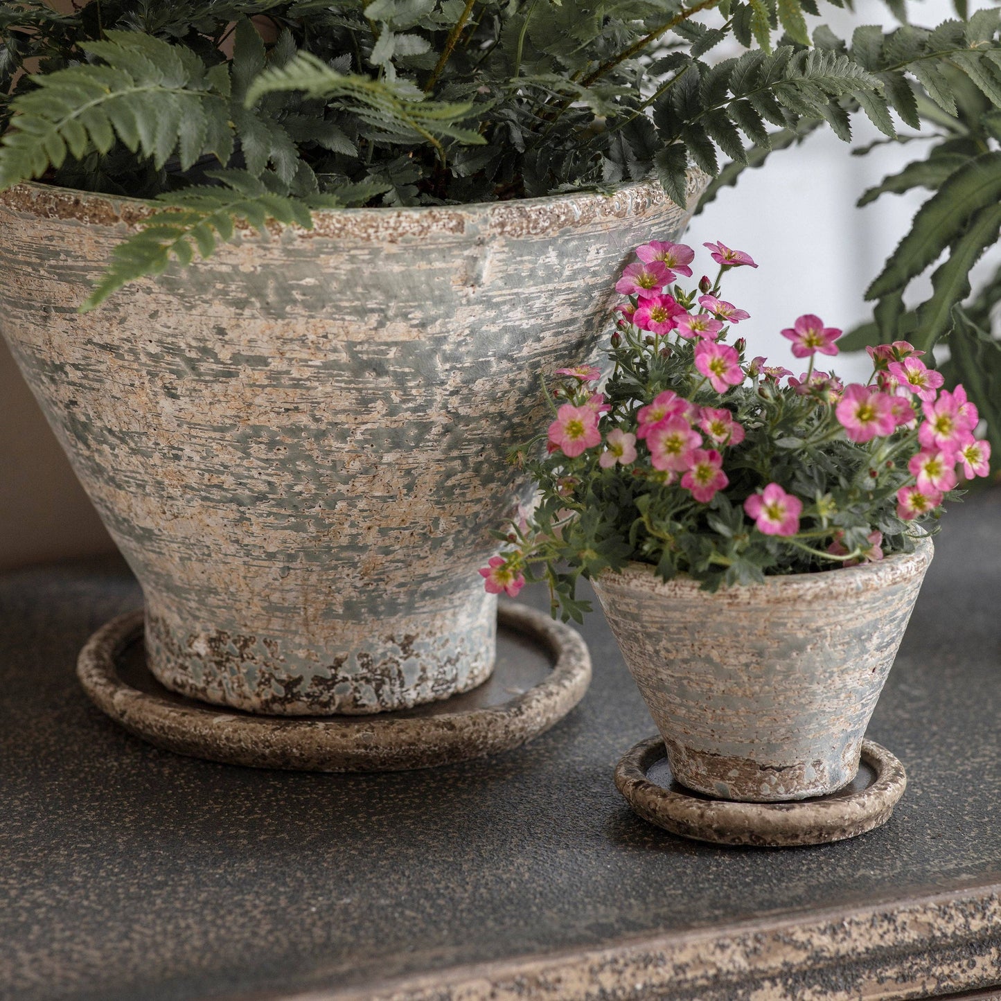 Colerne Planter