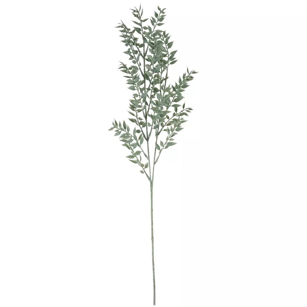 Ruscus spray