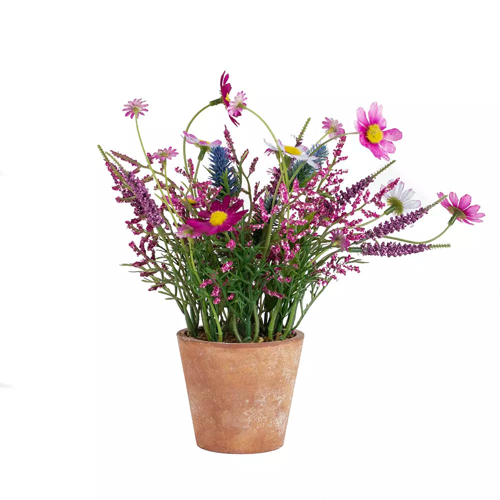 Wildflowers in pot - pink