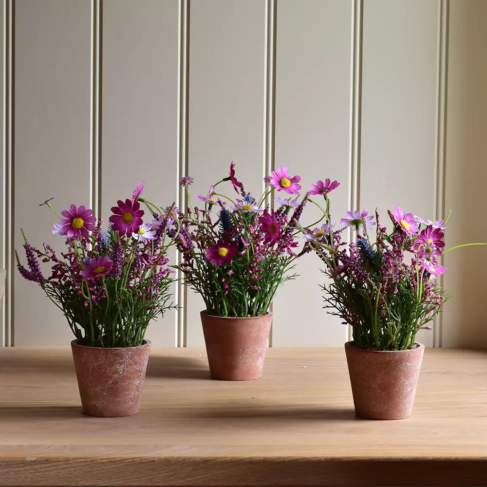 Wildflowers in pot - pink