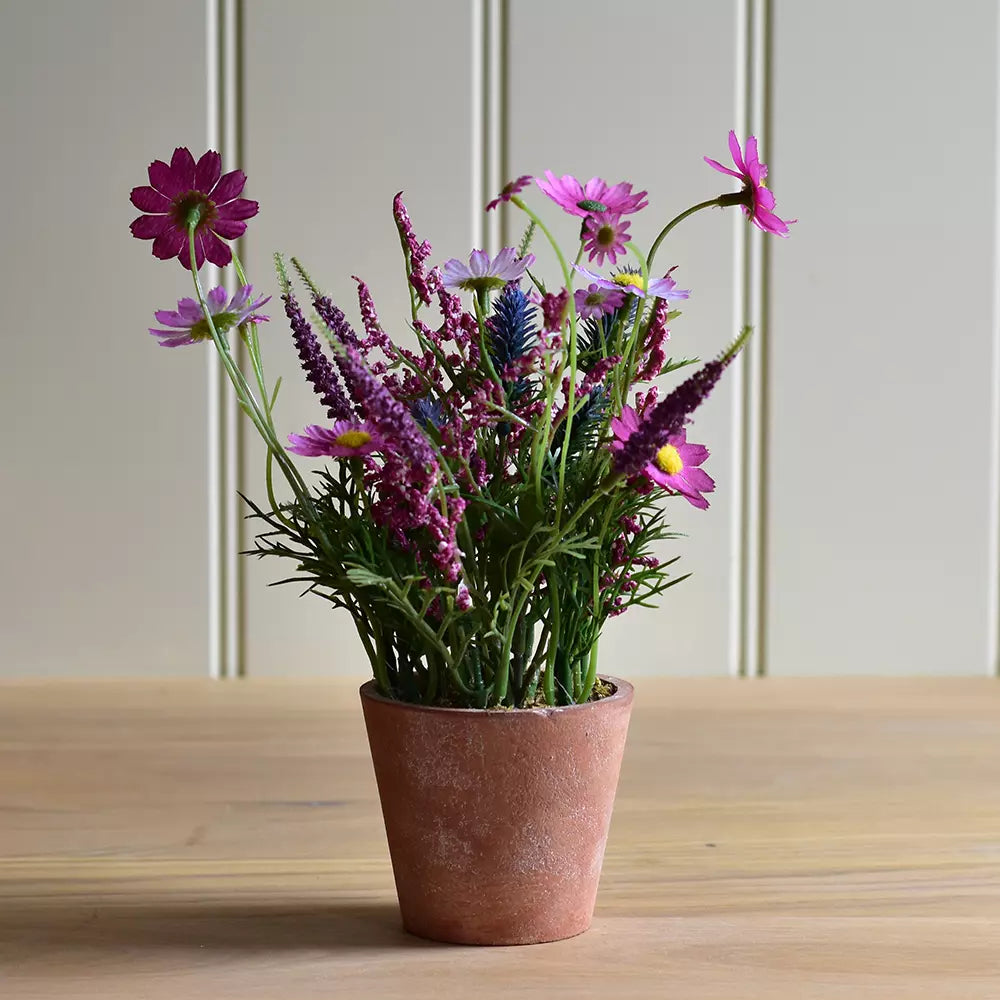 Wildflowers in pot - pink