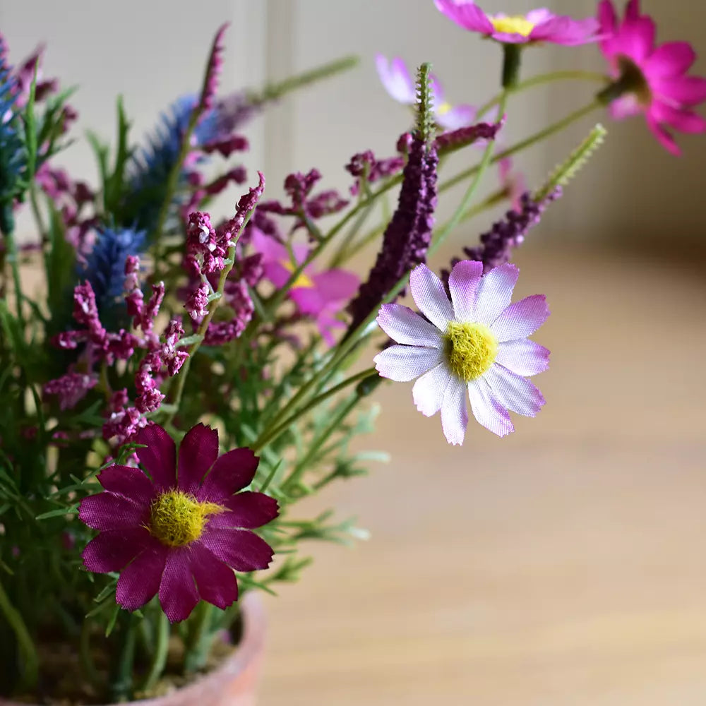 Wildflowers in pot - pink